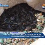 Masa Paceklik Tangkap Ikan Nelayan Manfaatkan Budidaya Kerang Ijo