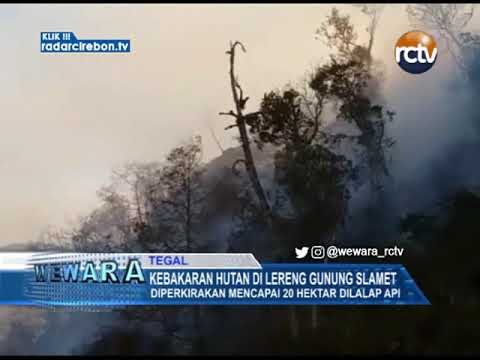 Kebakaran Hutan Di Lereng Gunung Slamet