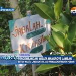 Pengembangan Wisata Mangrove Lamban