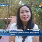 Wisatawan Keluhkan Kondisi Objek Wisata Mangrove