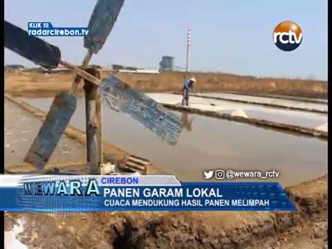 Panen Garam Lokal, Cuaca Mendukung Hasil Panen Melimpah