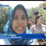 Sarana Wisata Mangrove Dikritik Pengunjung