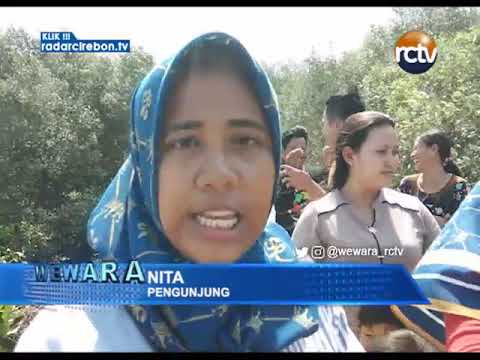 Sarana Wisata Mangrove Dikritik Pengunjung