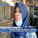 Belasan Unggas Mati Akibat Flu Burung