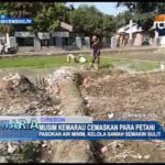 Musim Kemarau Cemaskan Para Petani