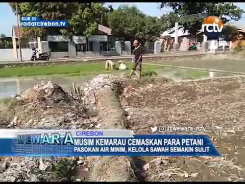 Musim Kemarau Cemaskan Para Petani