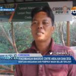 Pengembangan Mangrove Centre Andalkan Dana Desa