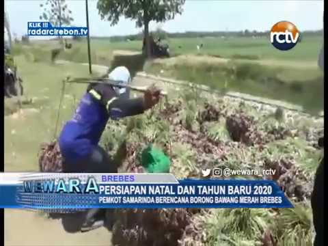 Pemkot Samarinda Berencana Borong Bawang Merah Brebes