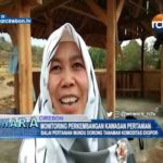 Monitoring Perkembangan Kawasan Pertanian