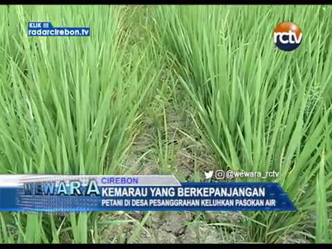 Kemarau Yang Berkepanjangan