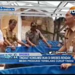 Tingkat Konsumsi Ikan Di Brebes Rendah