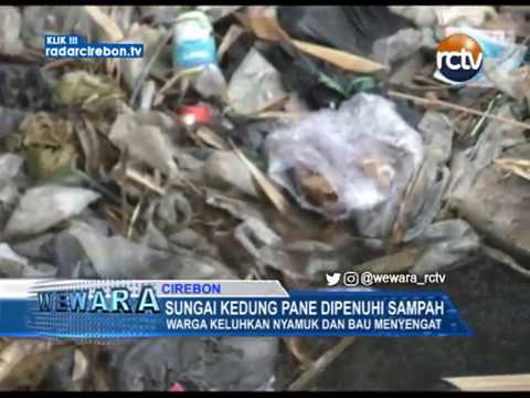 Sungai Kedung Pane Dipenuhi Sampah