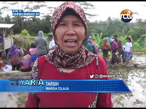 Warga Cilaja Berebut Ikan Di Kolam