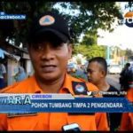 Pohon Tumbang Timpa 2 Pengendara