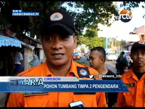 Pohon Tumbang Timpa 2 Pengendara