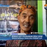 Sensasi Kopi Pegunungan Desa Capar