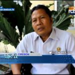 Budidaya Tanaman Hidroponik