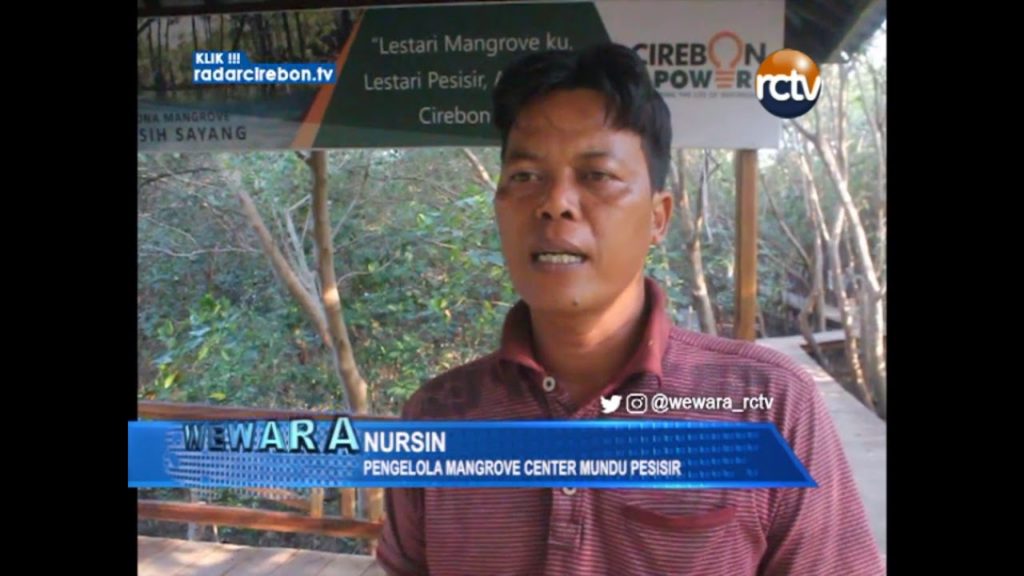 Tingkat Keberhasilan Tanam Mangrove Kecil