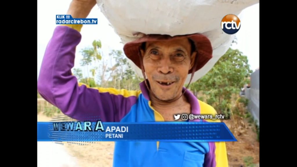 Ratusan Hektar Sawah Tandus