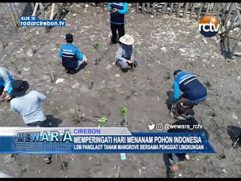 Memperingati Hari Menanam Pohon Indonesia, LSM Panglaot Tanam Mangrove