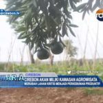 Cirebon Akan Miliki Kawasan Agrowisata