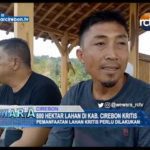 800 Hektar Lahan Di Kab. Cirebon Kritis