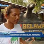 Penangkaran Kura-Kura Belawa Jadi Prioritas