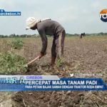 Percepat Masa Tanam Padi