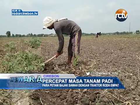 Percepat Masa Tanam Padi