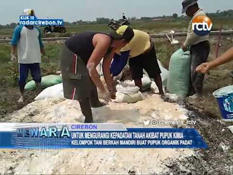 Untuk Mengurangi Kepadatan Tanah Akibat Pupuk Kimia
