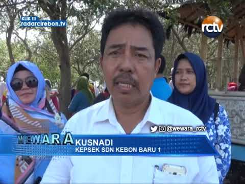 SDN Kebon Baru 1 Tanam Mangrove