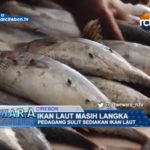 Ikan Laut Masih Langka