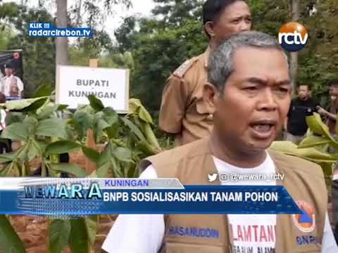 BNPB Sosialisasikan Tanam Pohon