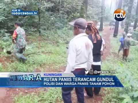 Hutan Paniis Terancam Gundul