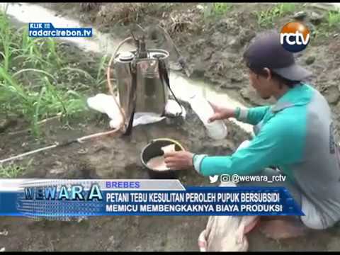 Petani Tebu Kesulitan Peroleh Pupuk Bersubsidi