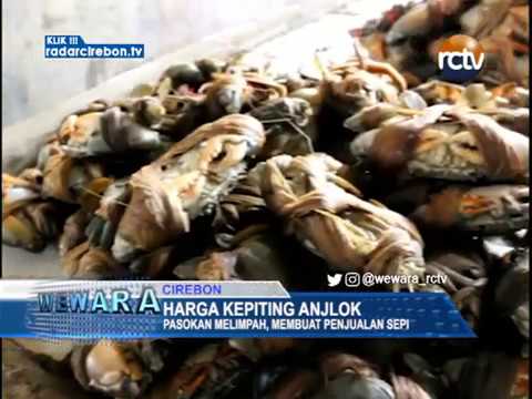 Harga Kepiting Anjlok