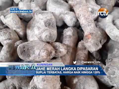 Jahe Merah Langka Dipasaran