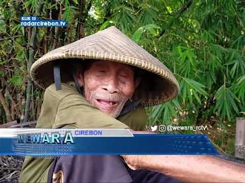 Potret Pembuatan Arang Kayu Tradisional