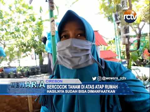 Bercocok Tanam Di Atas Atap Rumah