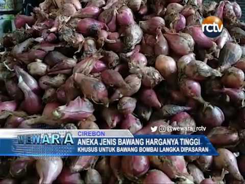 Aneka Jenis Bawang Harganya Tinggi