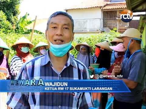 Manfaatkan Lahan Pekarangan Sempit