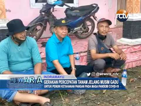 Gerakan Percepatan Tanam Jelang Musim Gadu