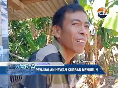 Penjualan Hewan Kurban Menurun