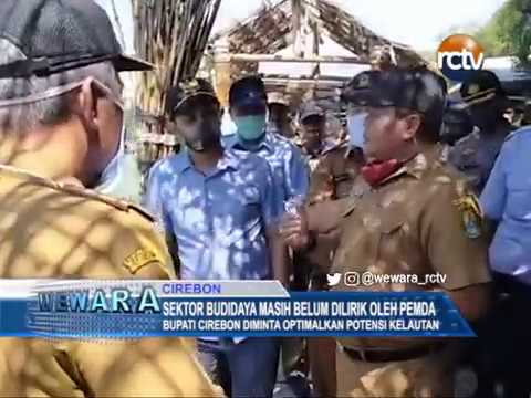 Sektor Budidaya Masih Belum Dilirik Oleh Pemda