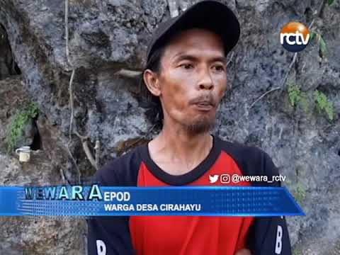 Akar Mencengkram Bebatuan Besar