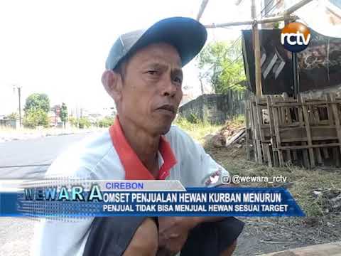 Omset Penjualan Hewan Kurban Menurun