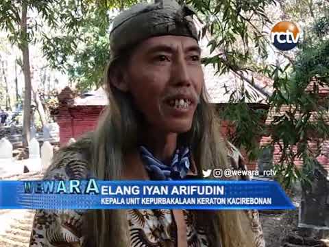 Pohon Langka Naga Sari