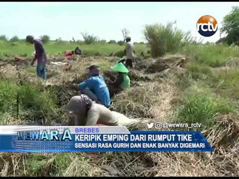 Keripik Emping Dari Rumput Tike