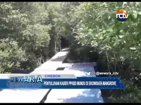 Penyuluhan Kader PPKBD Mundu Di Ekowisata Mangrove