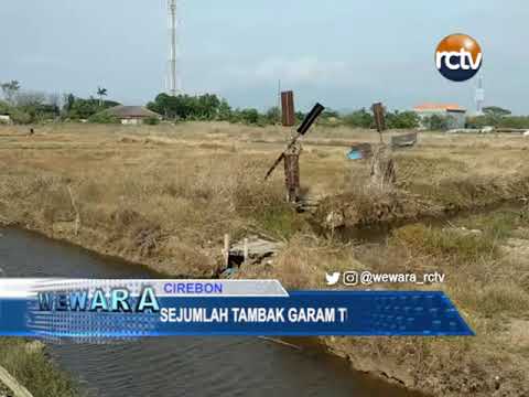 Sejumlah Tambak Garam Terbengkalai